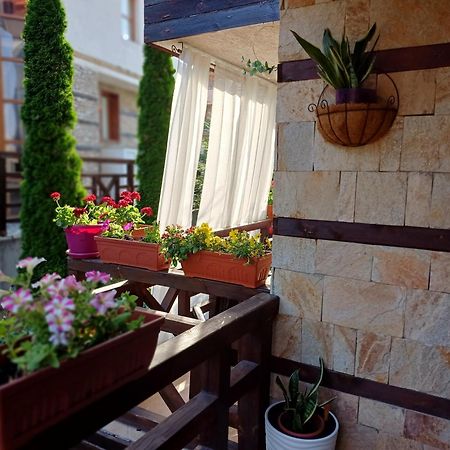 Mila Vip Apartment Bansko Bagian luar foto