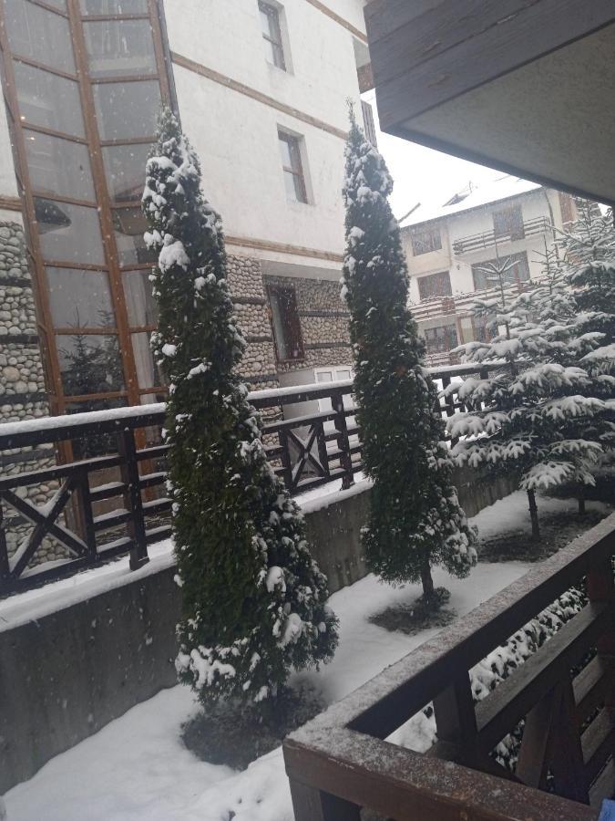 Mila Vip Apartment Bansko Bagian luar foto