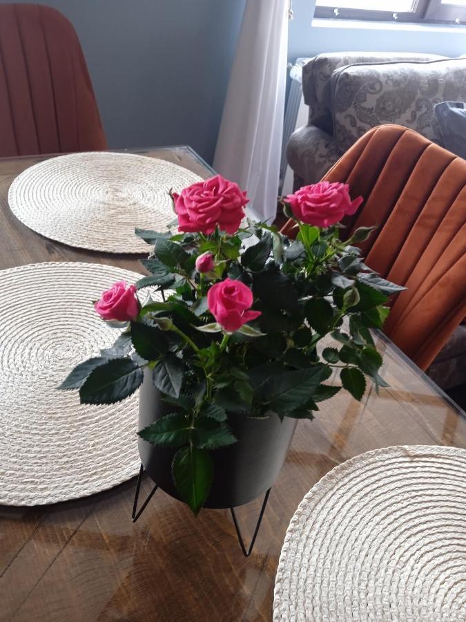 Mila Vip Apartment Bansko Bagian luar foto