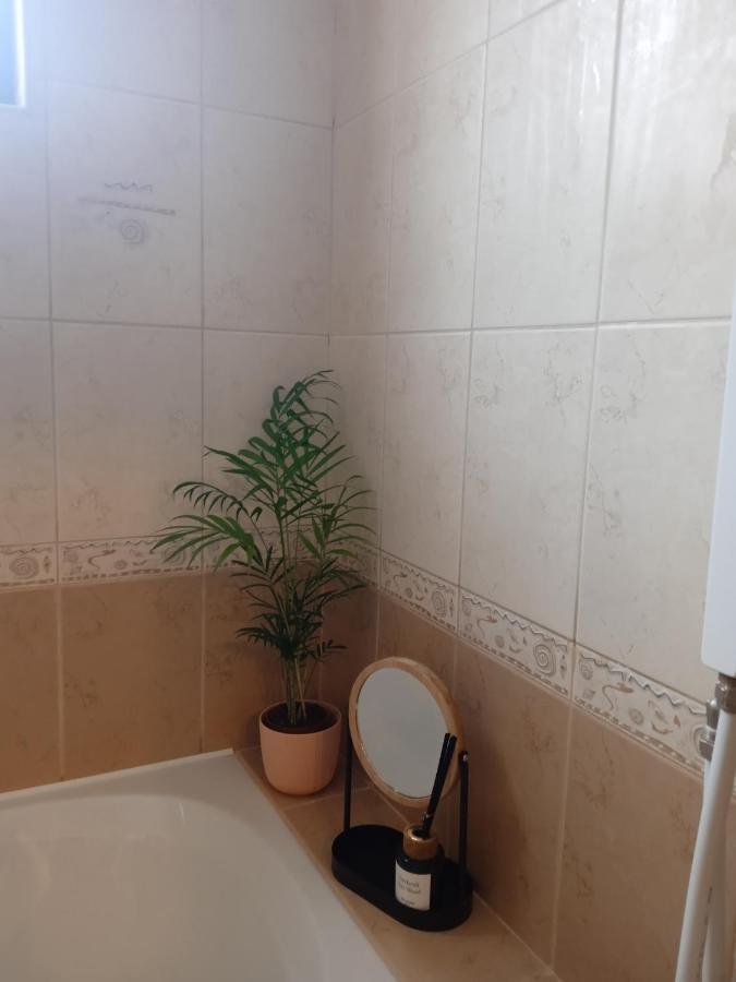 Mila Vip Apartment Bansko Bagian luar foto